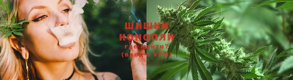 PSILOCYBIN Абаза
