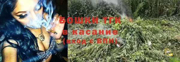 PSILOCYBIN Абаза