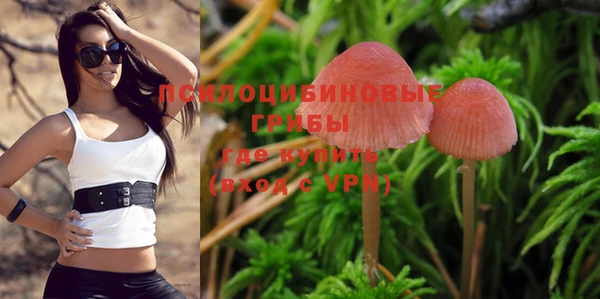 PSILOCYBIN Абаза