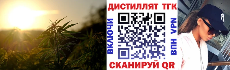 ТГК THC oil  kraken ССЫЛКА  Сургут  как найти наркотики 