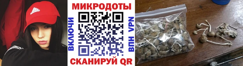 нарко площадка клад  Сургут  Галлюциногенные грибы мухоморы  цены наркотик 